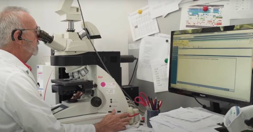 invox-medical-el-software-de-ia-para-el-dictado-y-transcripcion-en-tiempo-real-de-informes-medicos